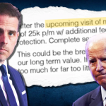 Hunter Biden emails show leveraging connections with his father to boost Burisma pay
